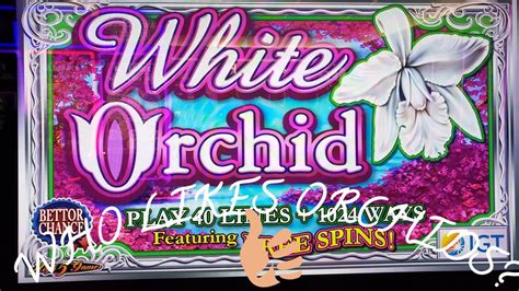 wild orchid slot machine|white orchid casino slot.